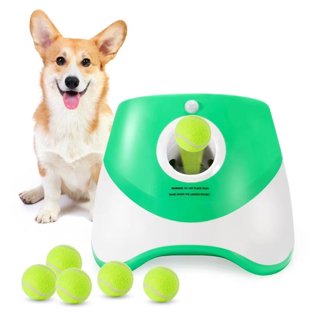 Automatic Dog Ball Launcher