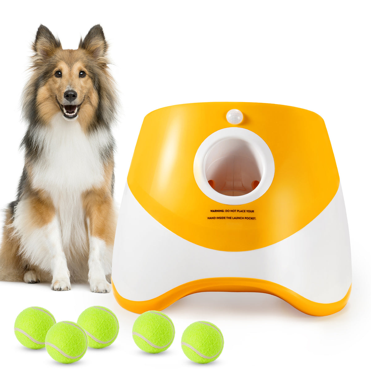 Automatic Dog Ball Launcher
